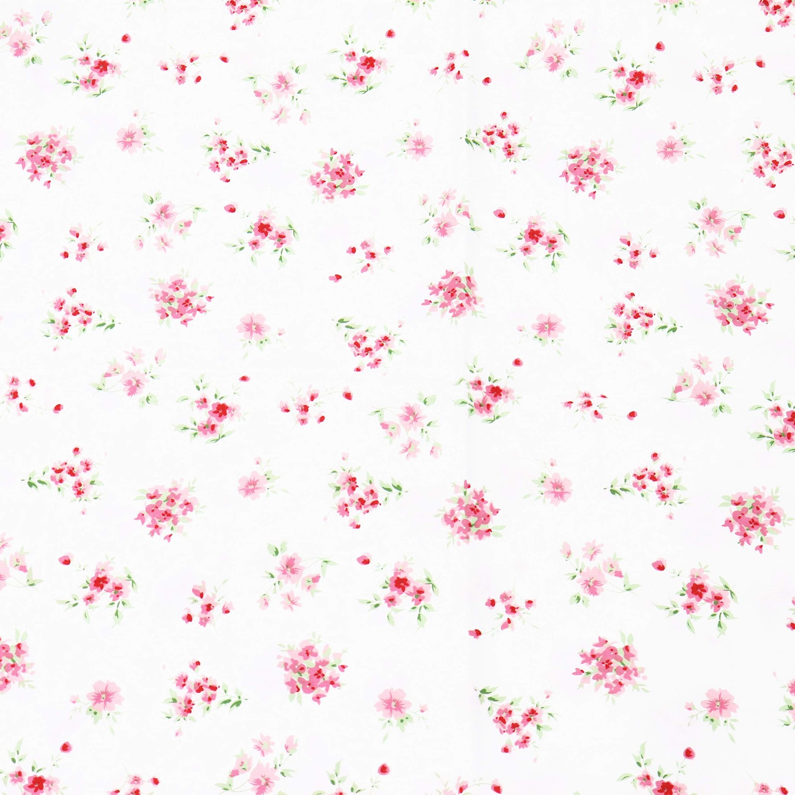 2-Piece Floral White Pillowcase Set 400 Thread Count 100% Cotton, Standard, 5