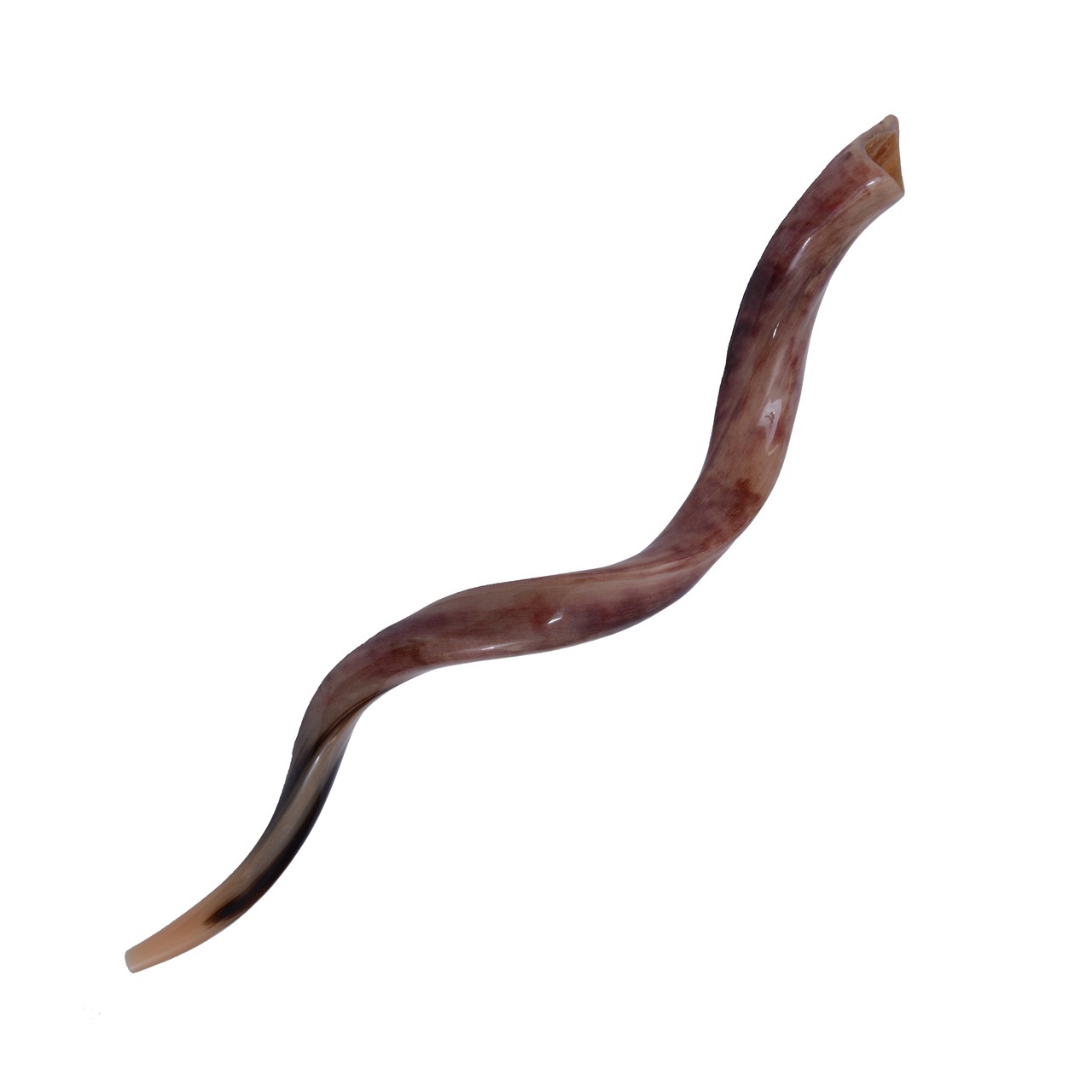 SHOFAR Kudu Horn 40 “-43” High Quality Yemenite Kosher Full Polish Israel + Bag