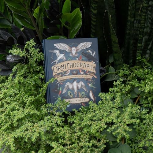 Ornithography: An Illustrated Guide to Bird Lore & Symbolism (Volume 2)…