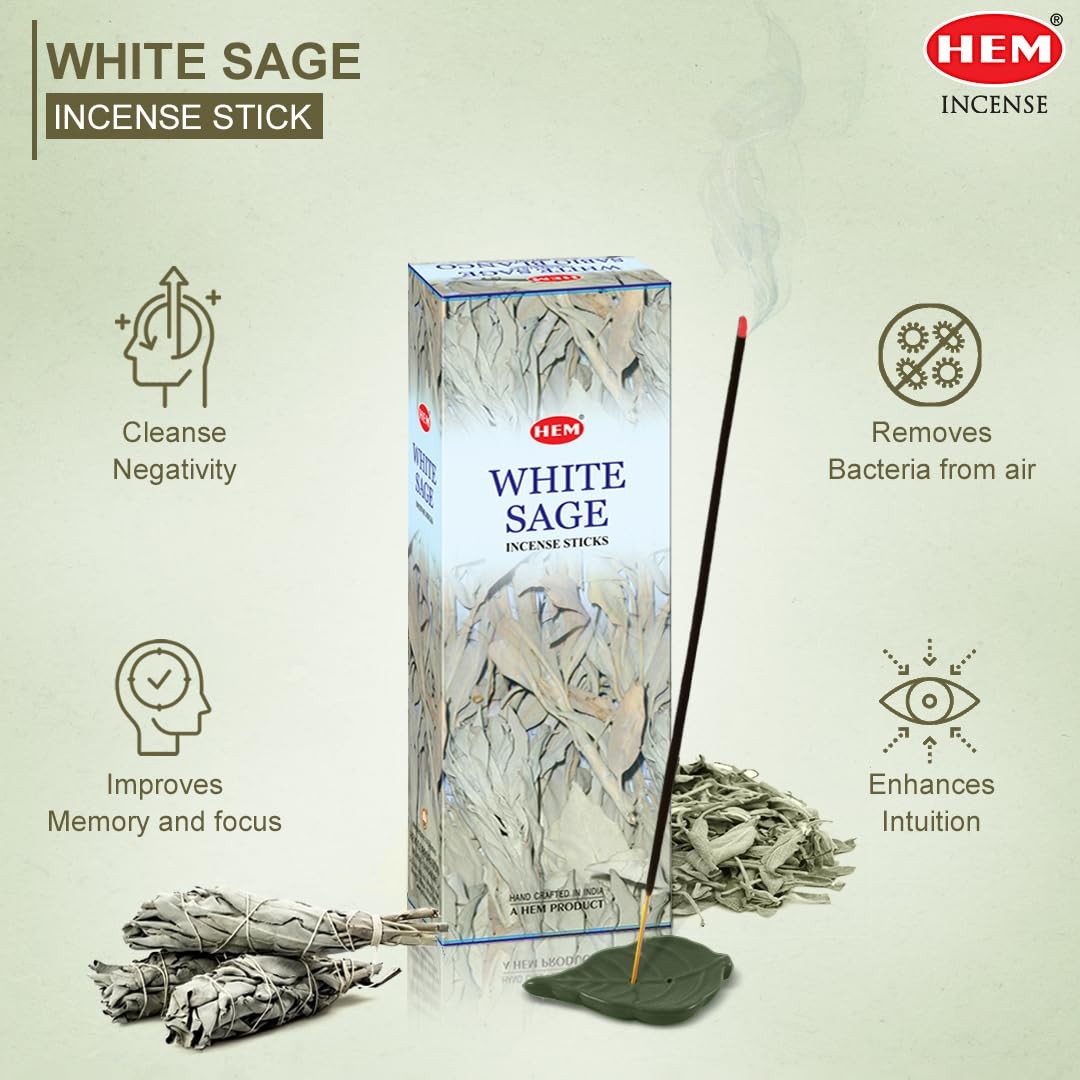 HEM White Sage Incense Sticks – 100 Count | 20 (Pack of 5), Black
